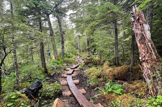 Lake Elsner Trail