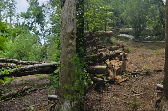 Hickory Ridge Trail