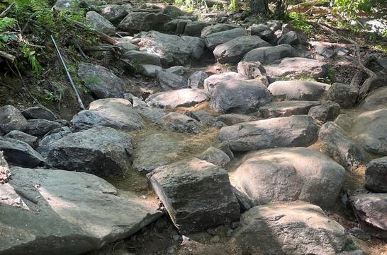 Mt. Monadnock Gargoyles