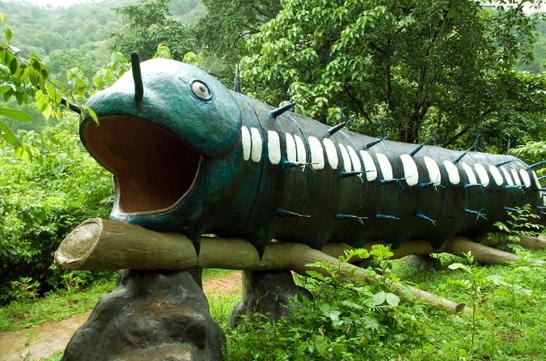 Butterfly Safari