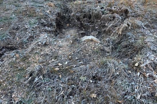 Watershed Restoration