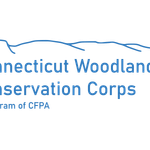 cwcc@ctwoodlands.org