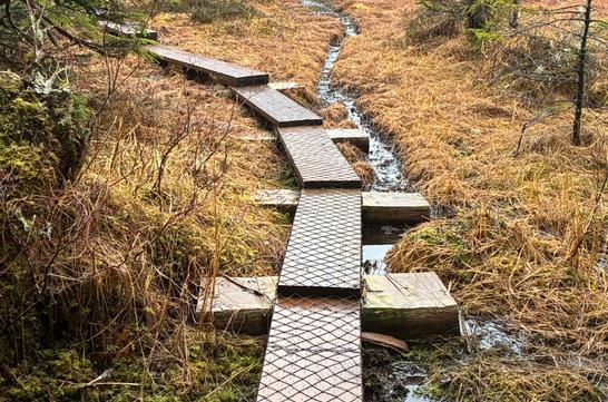 Heney Ridge Trail