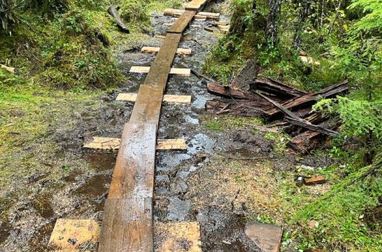 Mckinley Lake Trail
