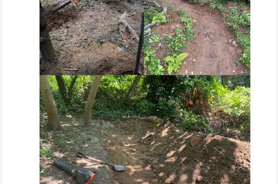 Fernhill Restoration and Trail Construction
