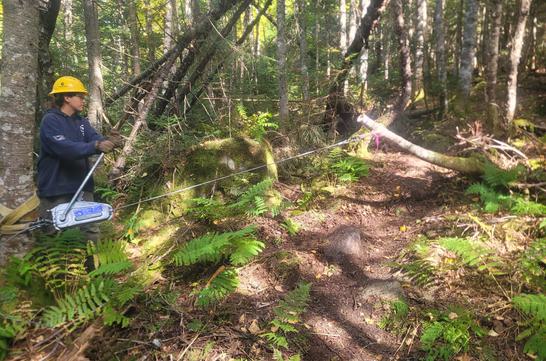 Ammonoosuc Ravine Reroute