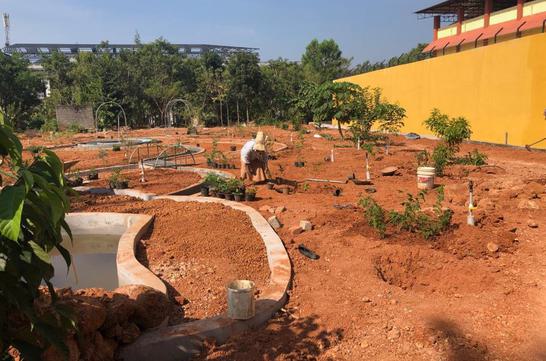 Butterfly Garden