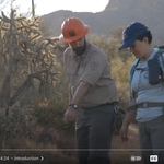 Desert Brushing Techniques