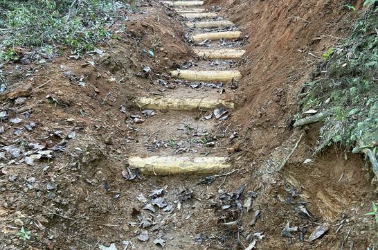 Panther Creek Check Steps